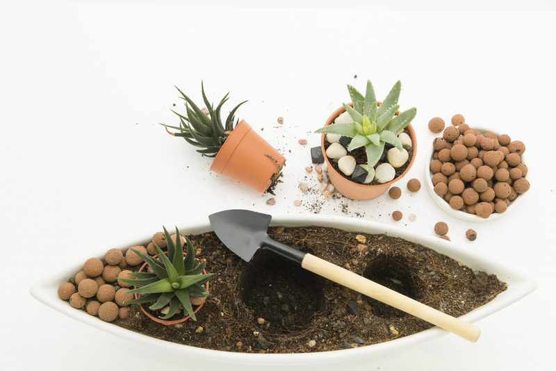 lawn care lawn maintenance